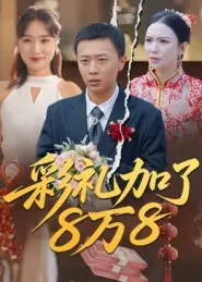 彩礼加了8万8