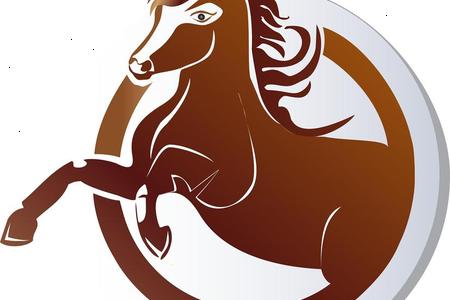 生肖属马的人在2025年06月24日的运势怎么样
