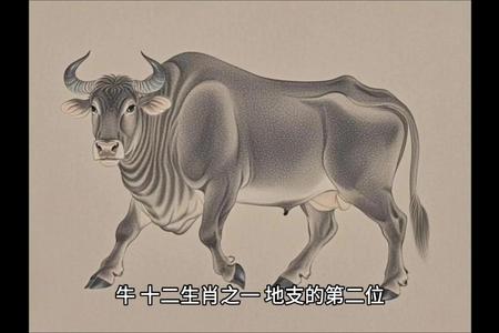 生肖属牛的人在2025年06月25日的运势怎么样