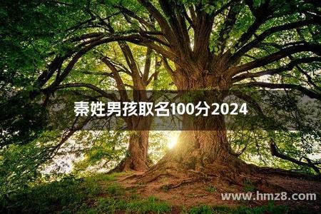 2025年06月25日秦姓宝宝取什么名好？