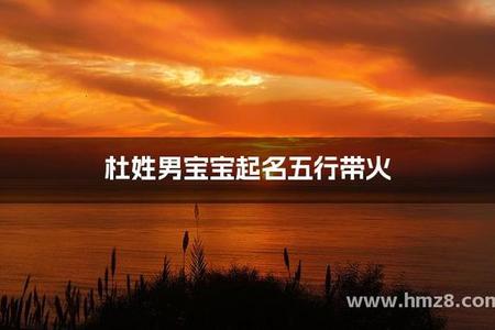 2025年06月25日杜姓宝宝取什么名好？