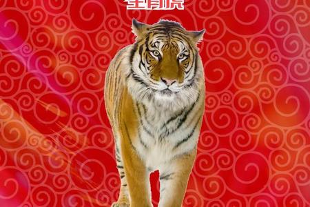 生肖属虎的人在2025年06月26日的运势怎么样
