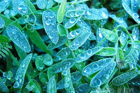 2025年06月26日下雨天出现在梦境中预示着哪些心灵变化