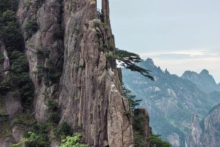 2025年06月26日毛姓宝宝取什么名好？
