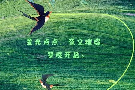 2025年06月26日梦见清晨薄雾会带来怎样的启示