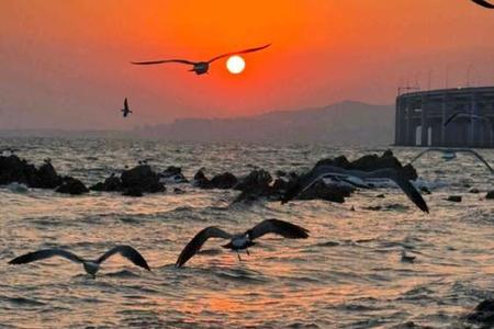 2025年06月26日 梦中的奇异场景预示着什么