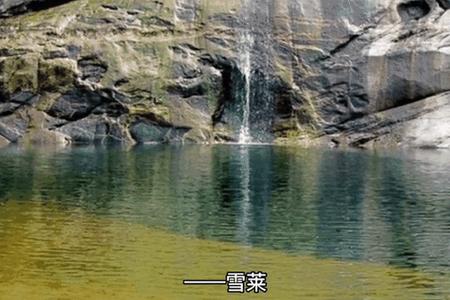 2004年07月02日卯时出生的人八字如何？
