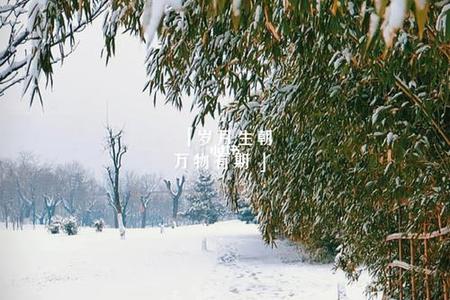 2025年小雪天气会有多冷，需要加厚衣服吗？