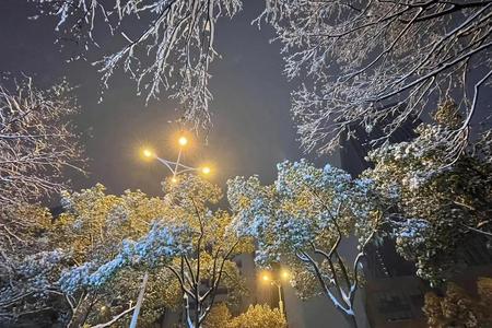 2025年大雪农历这天冷不冷，一般会下雪吗？