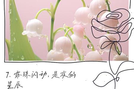2025年06月27日 梦见操场上有人放风筝
