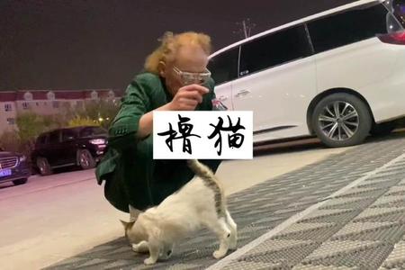 梦见清晨草地上遇见一只神秘小精灵
