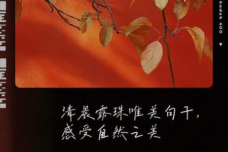 梦见清晨的露珠晶莹透亮