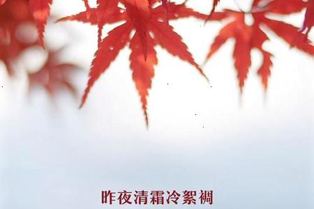 2025年立冬这一天有哪些习俗和禁忌需要注意？