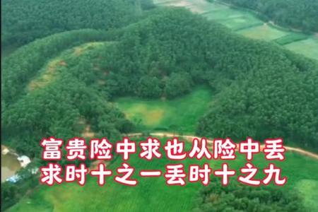 2025年06月29日是否适合参加聚会？