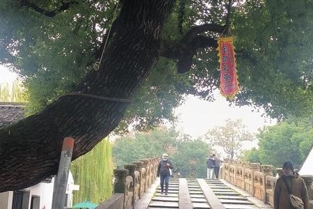 2000年05月26日亥时出生的人八字如何？