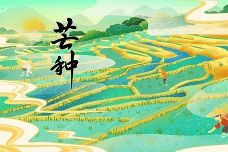 2026年芒种适合做什么农事活动？