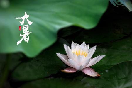 2025年大暑那天有哪些需要注意的习俗和养生方法？