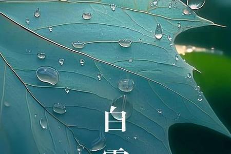 2025年白露气温会降多少？换季穿衣要注意什么？