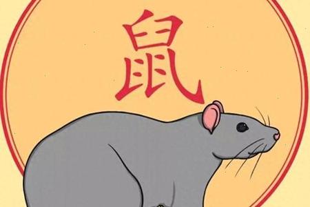 生肖属鼠的人在2025年06月24日的运势怎么样